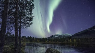 TAIGA är ett centrum i norra Sverige. Bilden visar sjö och skog upplyst av norrsken på natthimmel.