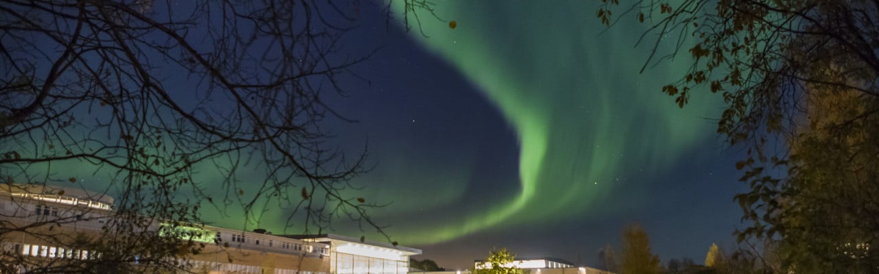Bild på Norrsken över campus