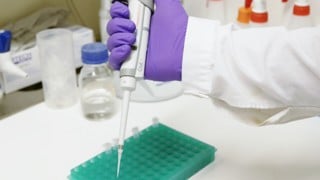Lab