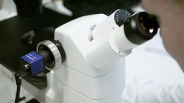 Lab