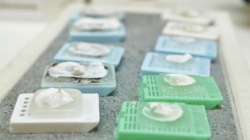 Medbio Lab
