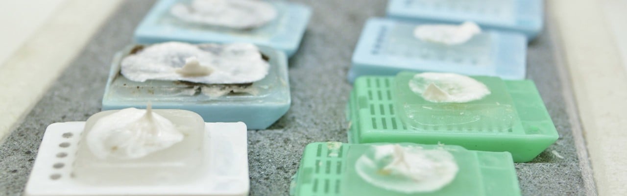 Medbio Lab