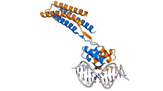 protein, strukturbiologi