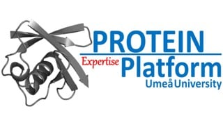 Logotype of PEP, Protein Expertise Platform, Umeå University