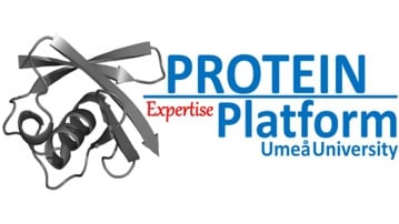 Logotype of PEP, Protein Expertise Platform, Umeå University