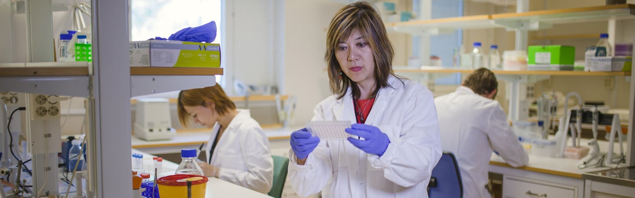 Jenny Persson,  professor vid Institutionen för molekylärbiologi