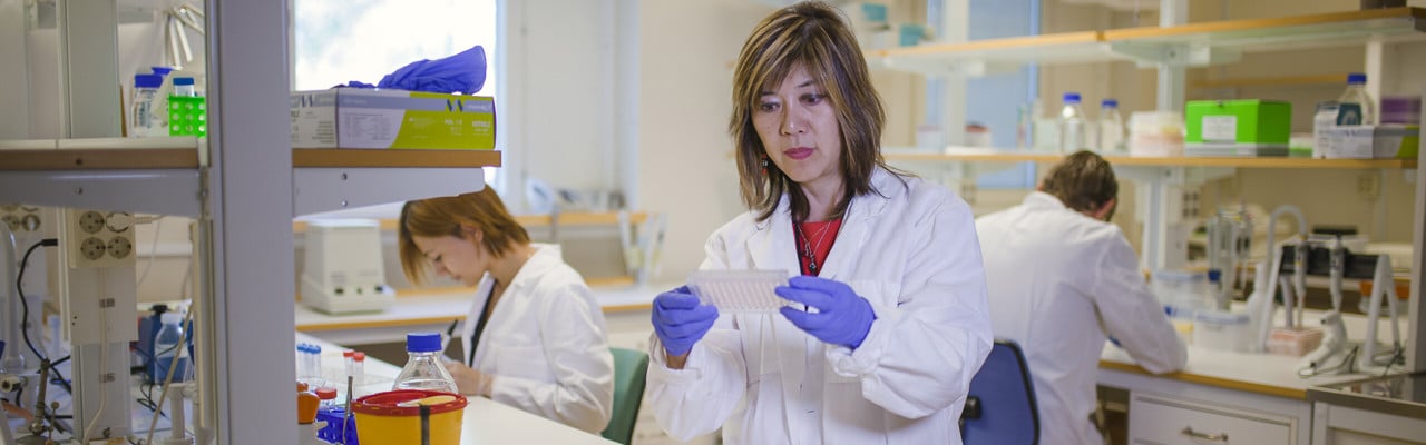 Jenny Persson,  professor vid Institutionen för molekylärbiologi