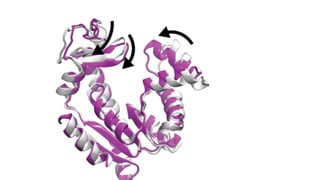 Integrated Structural Biology