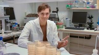 Peter Lind, molekylärbiologi