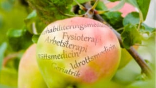 Samhällsmediicn och rehabilitering