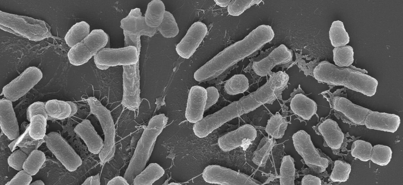 SEM-analyser