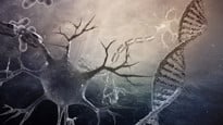 DNA molecules and neurons