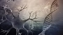 DNA molecules and neurons