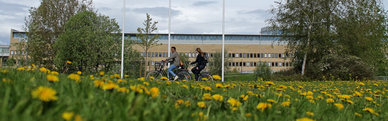 Bild på flaggstänger