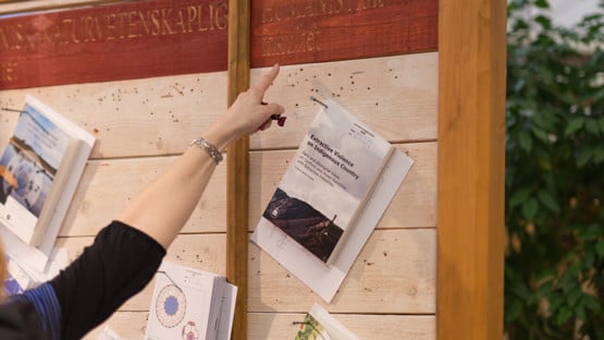 Bild från spikning av avhandling