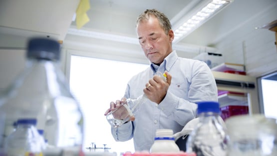 Stefan Björklund
