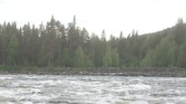 Studenter vid Vindelälven