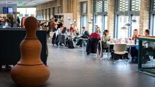 Studenter Humanisthuset