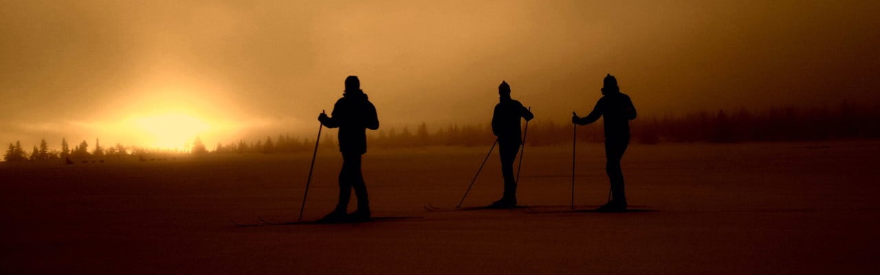 Silhuetter av skidåkare i skymningsljus.