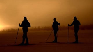 Silhuetter av skidåkare i skymningsljus.