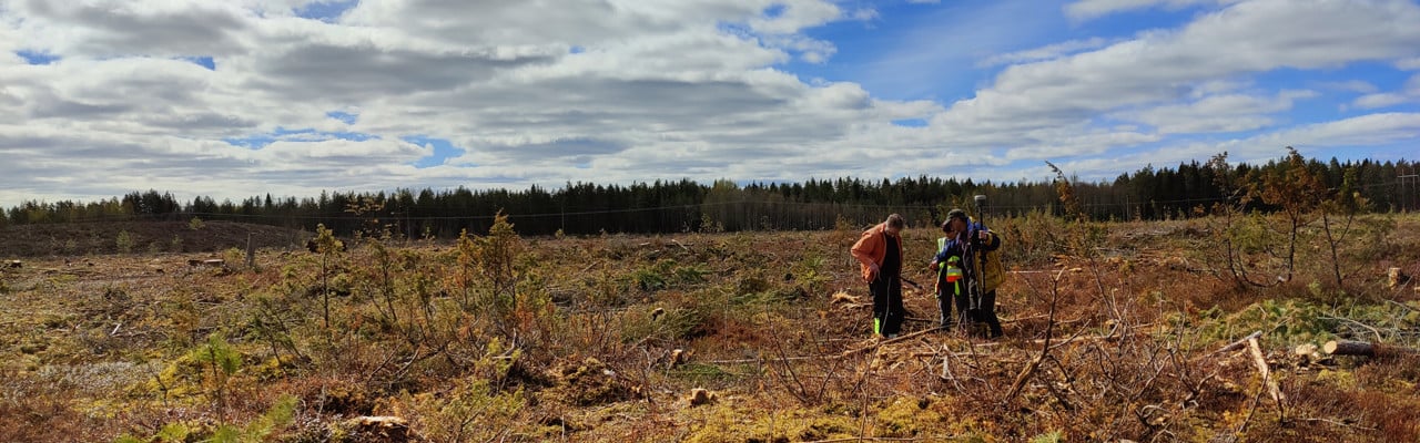 Foto av ett landskap, ett kalhygge med tre personer som står tätt ihop vid mätutrustning.