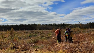 Foto av ett landskap, ett kalhygge med tre personer som står tätt ihop vid mätutrustning.