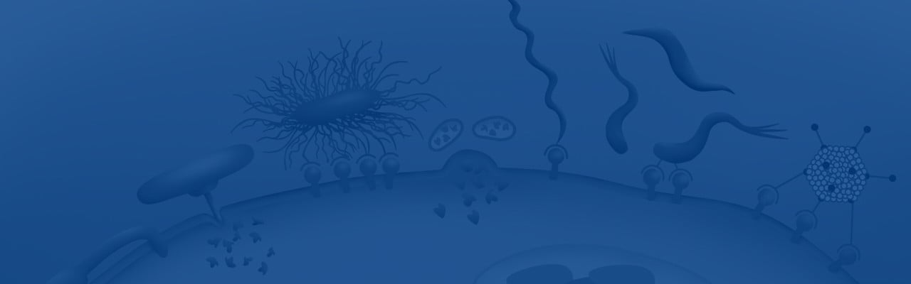 Illustration av olika mikrobiella infektionsmekanismer