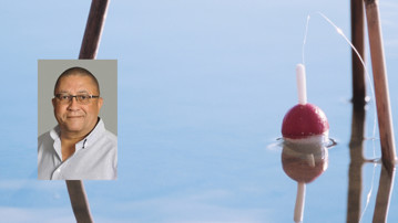 Carlos Bezuidenhout