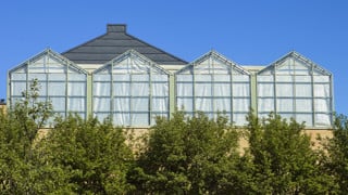 Umeå Plant Science Center, UPSC