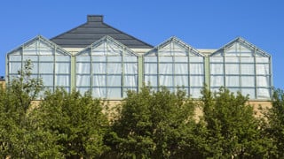 Umeå Plant Science Center, UPSC