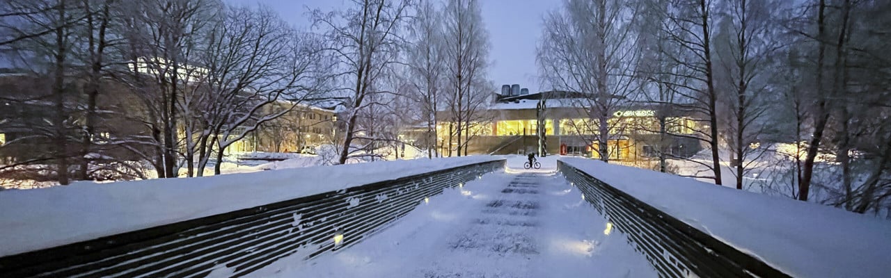 Bron över bäcken i skymningen februari 2021.