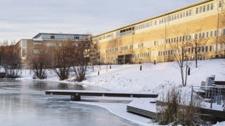 Bild på dammen vinter