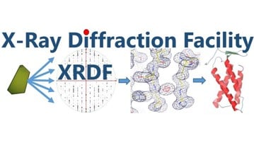 Logotype of the X-ray Diffraction Facility (XRDF)