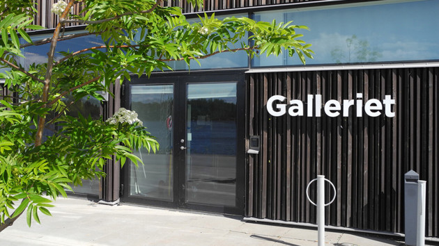 The entrance of the Gallery of Ume&aring; Academy of Fine Arts with flowering rowan in the foreground.