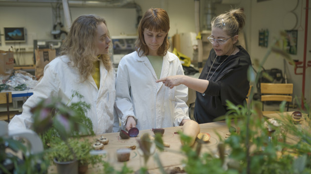 Video: Design research at Umeå Institute of Design